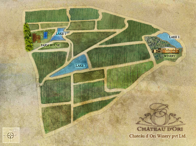 Winery Overview