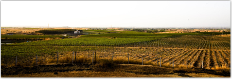 The Terroir
